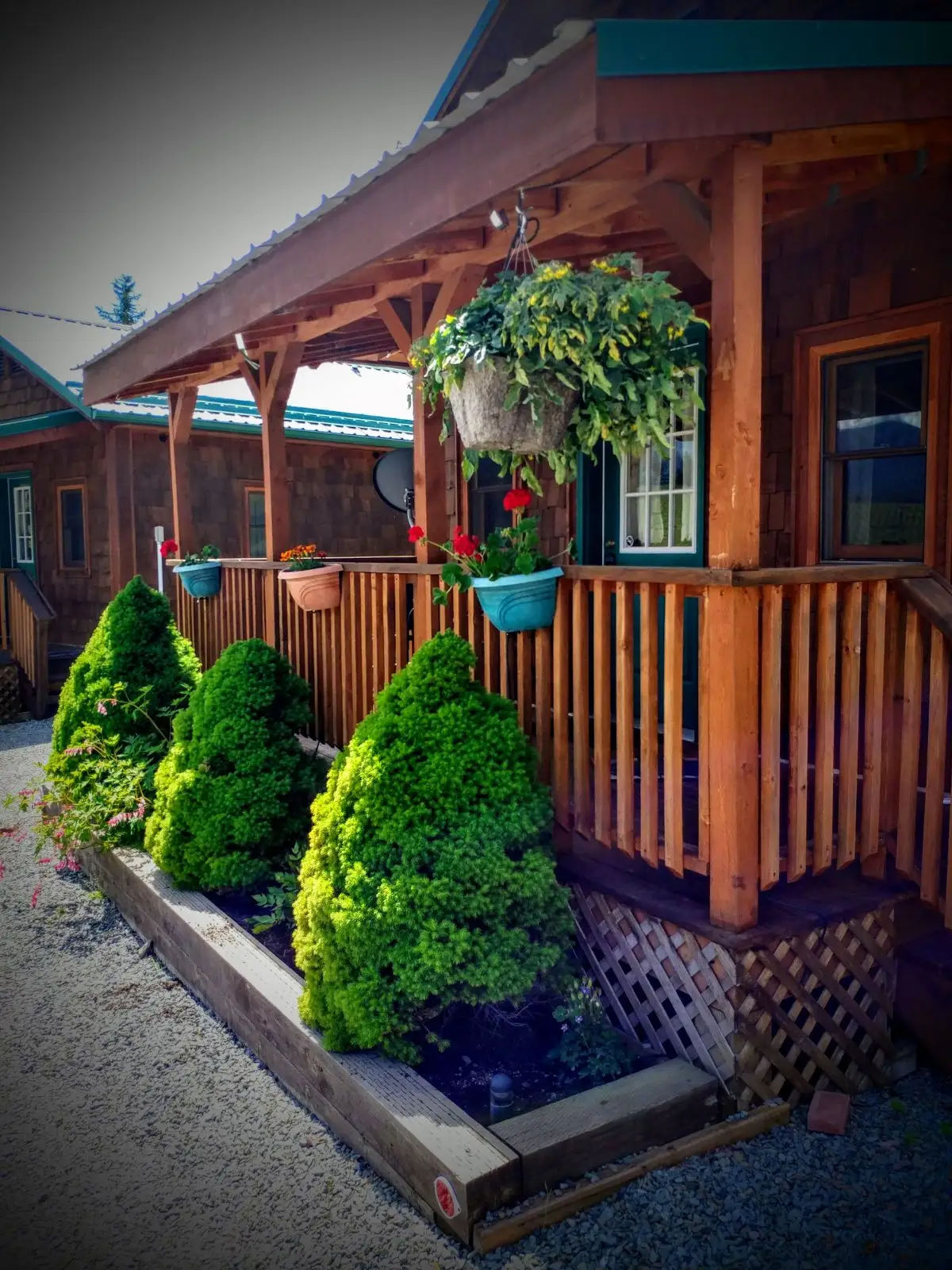 Lodgepole cabin